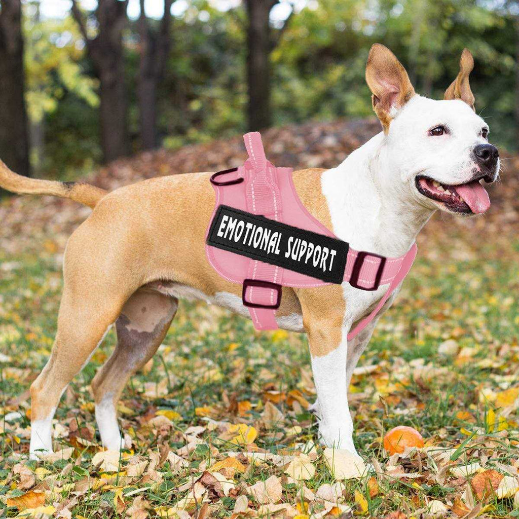 Reflective Breathable Adjustable No-Pull Dog Harness A7480