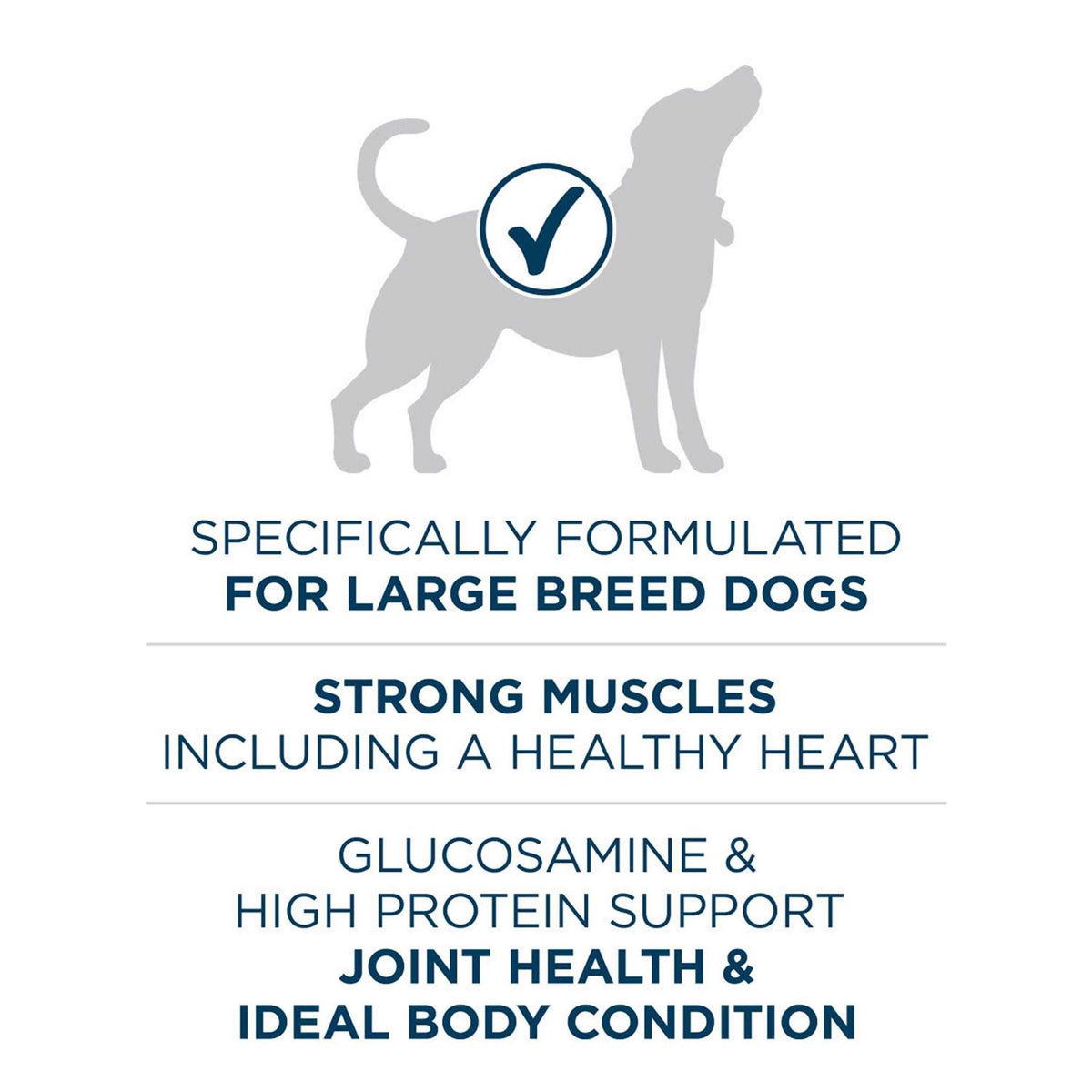 Natural Large Breed Adult Dry Dog Food Z7581