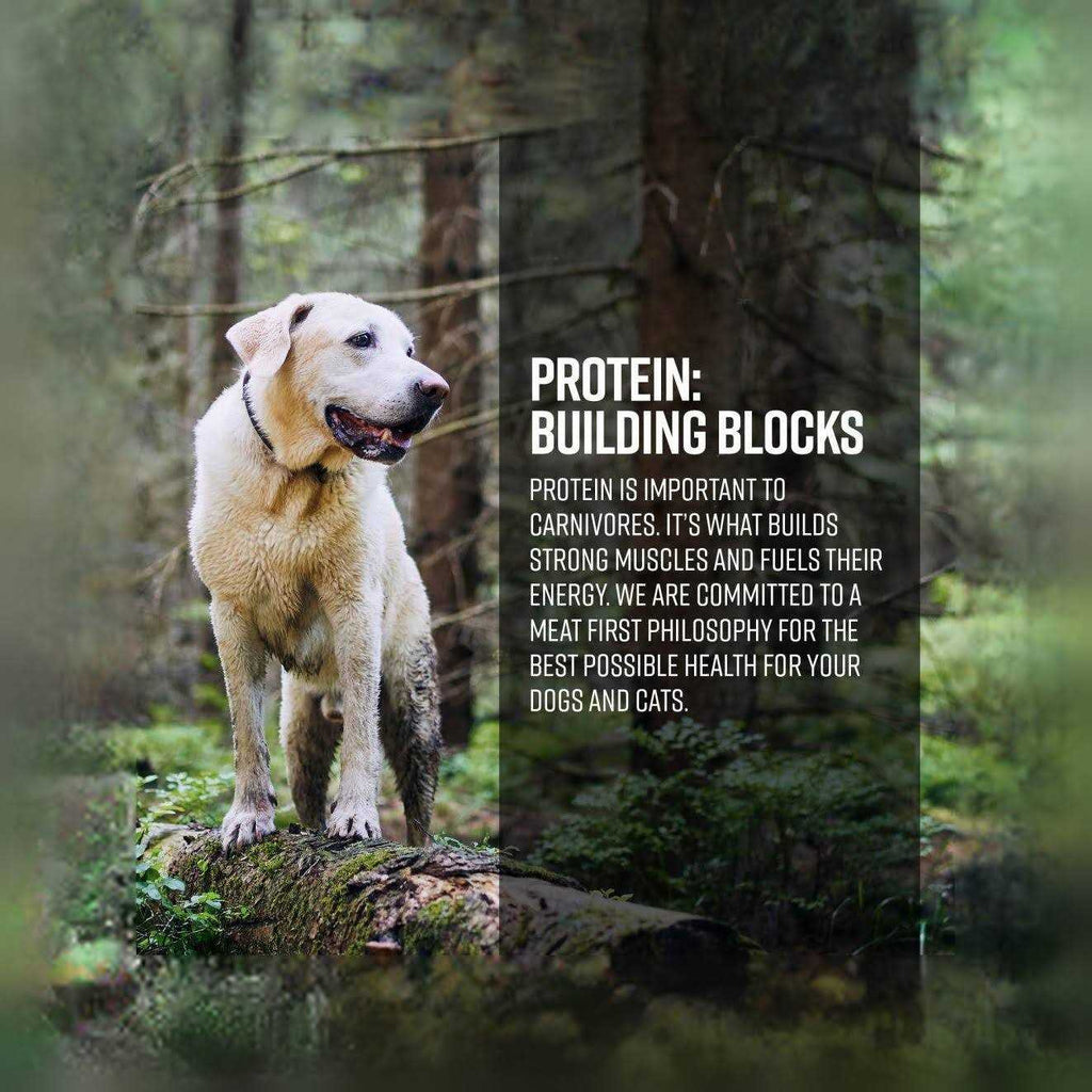 Ocean Recipe Dog Dry Food K968