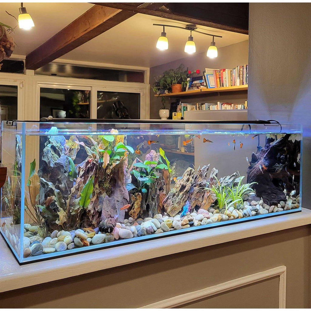 Crystal Bookshelf Aquarium M58300