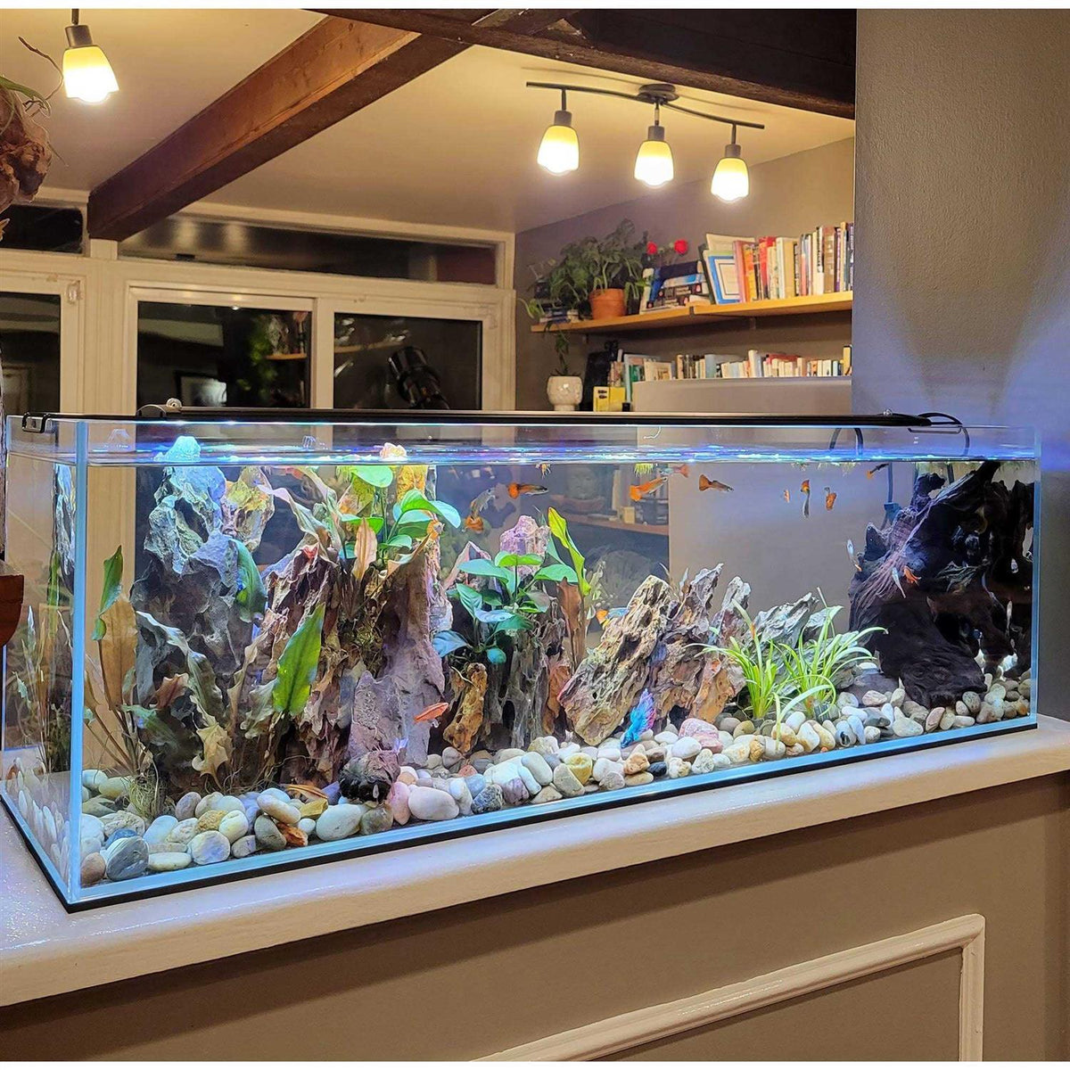Crystal Bookshelf Aquarium M58300