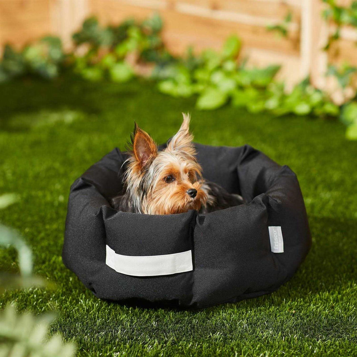 Indoor/Outdoor Bolster Cat & Dog Bed Z22169
