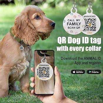 Rolled Leather Dog Collar with QR ID Dog Tag Q7683