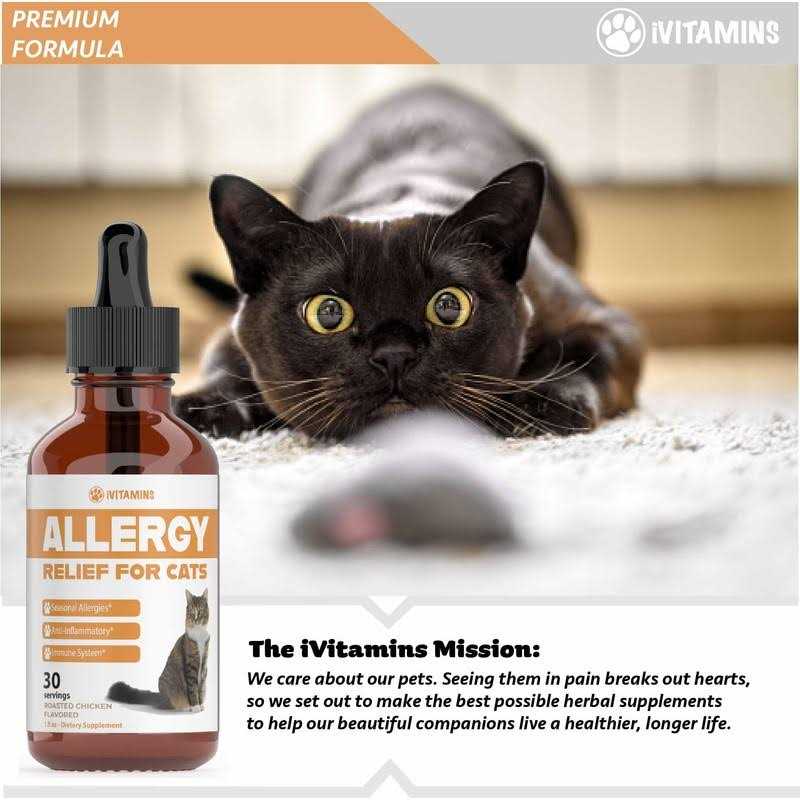 Allergy Relief for Cats P96240