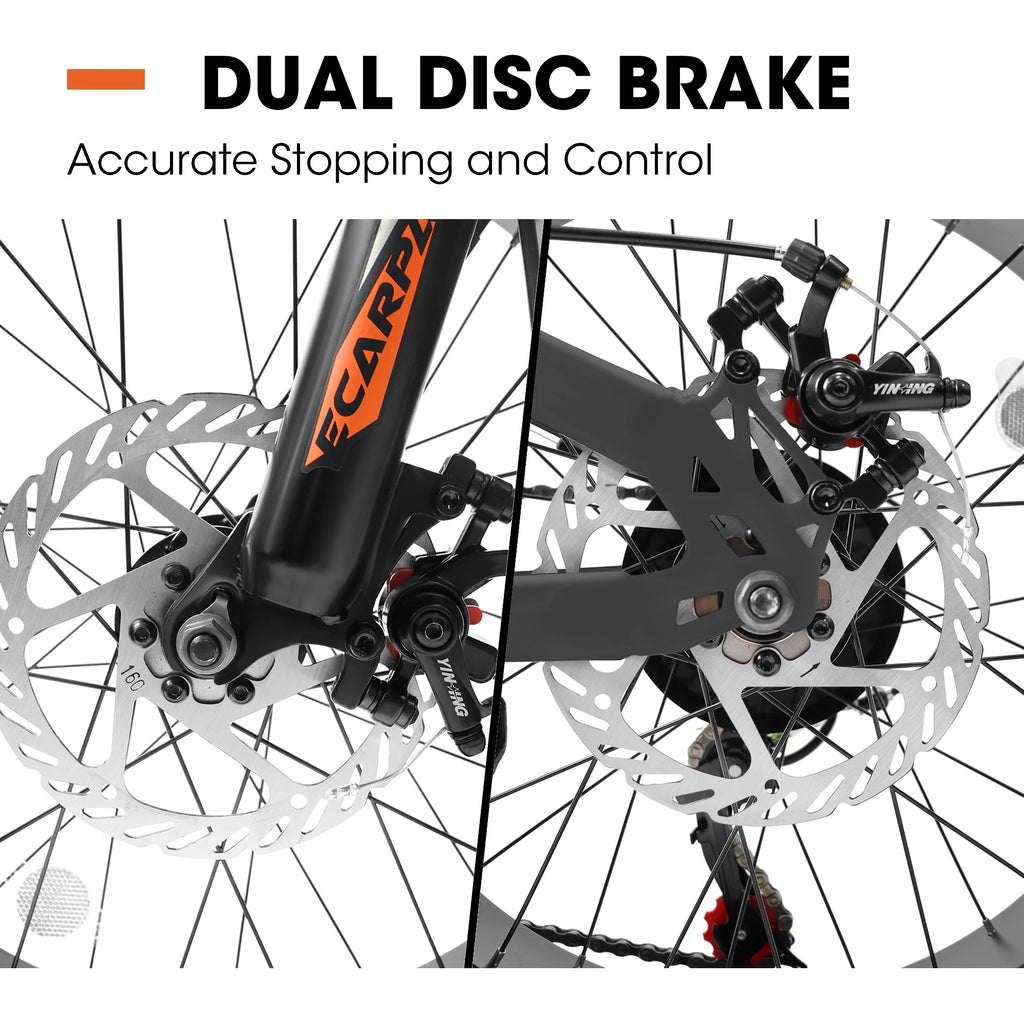 20 Inch Fat Tire Mountain Bike with Dual Disc Brake High-Carbon Steel Frame U6378