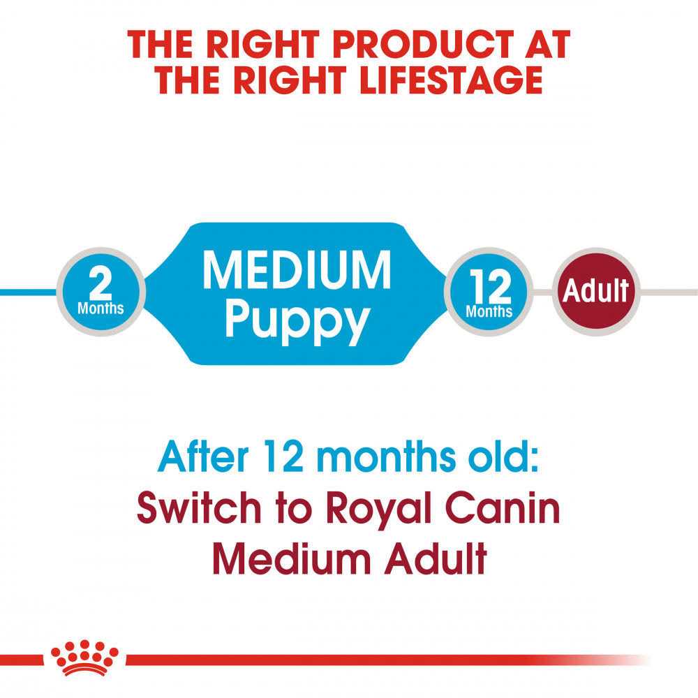 Medium Puppy Dry Dog Food N61764