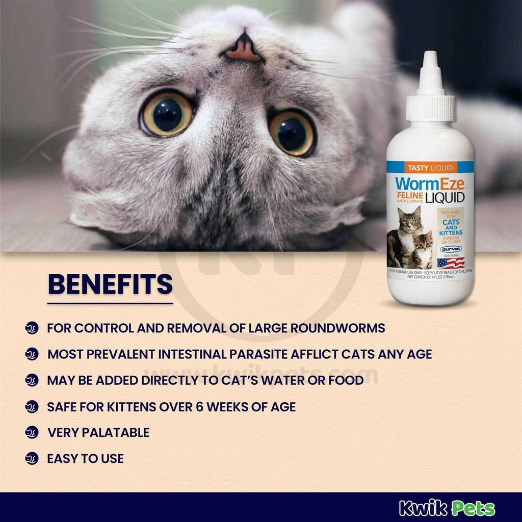 Feline Liquid Z79273