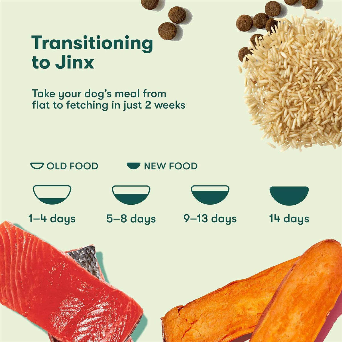 Salmon Brown Rice & Sweet Potato Dry Dog Food B31939