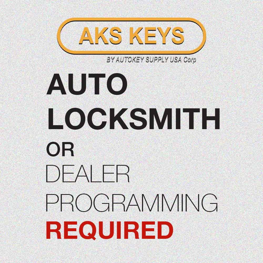Smart Key Hatch / Remote Start N20103