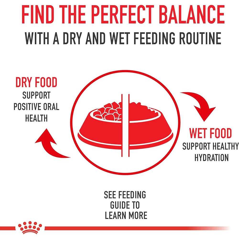 Medium Puppy Dry Dog Food N61764