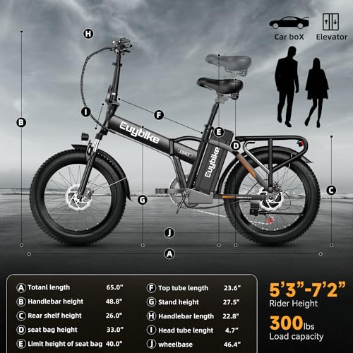 20" Fat Tire 1000W Electric Bike with 48V 20AH Removable Battery J55560