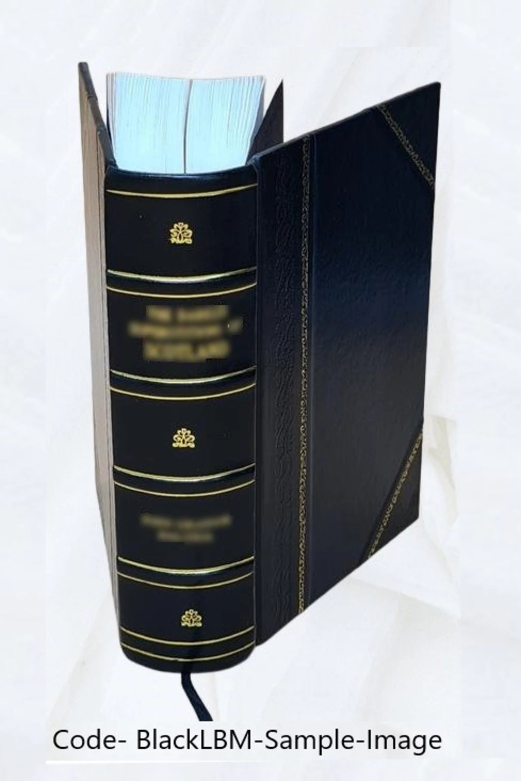 Leather Bound Book L4861