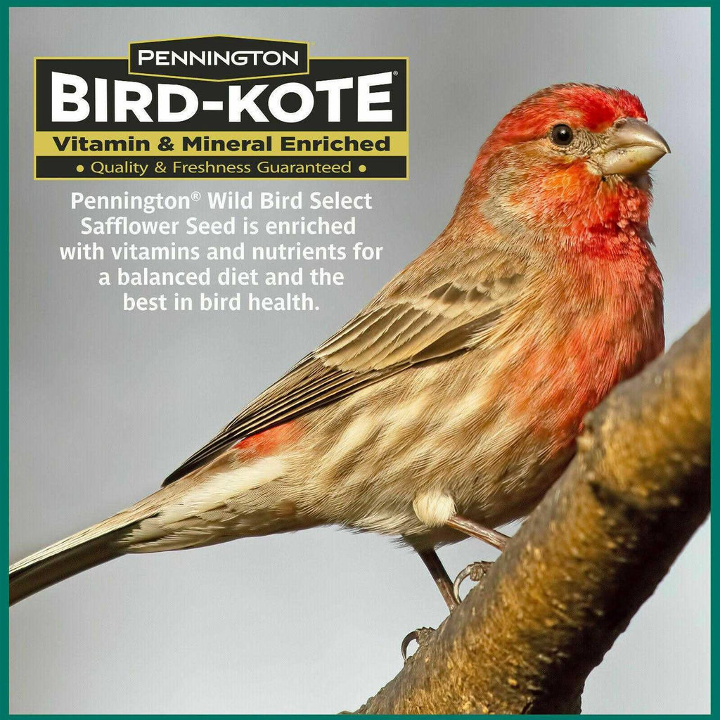 Safflower Seed Wild Bird Feed & Seed D51321