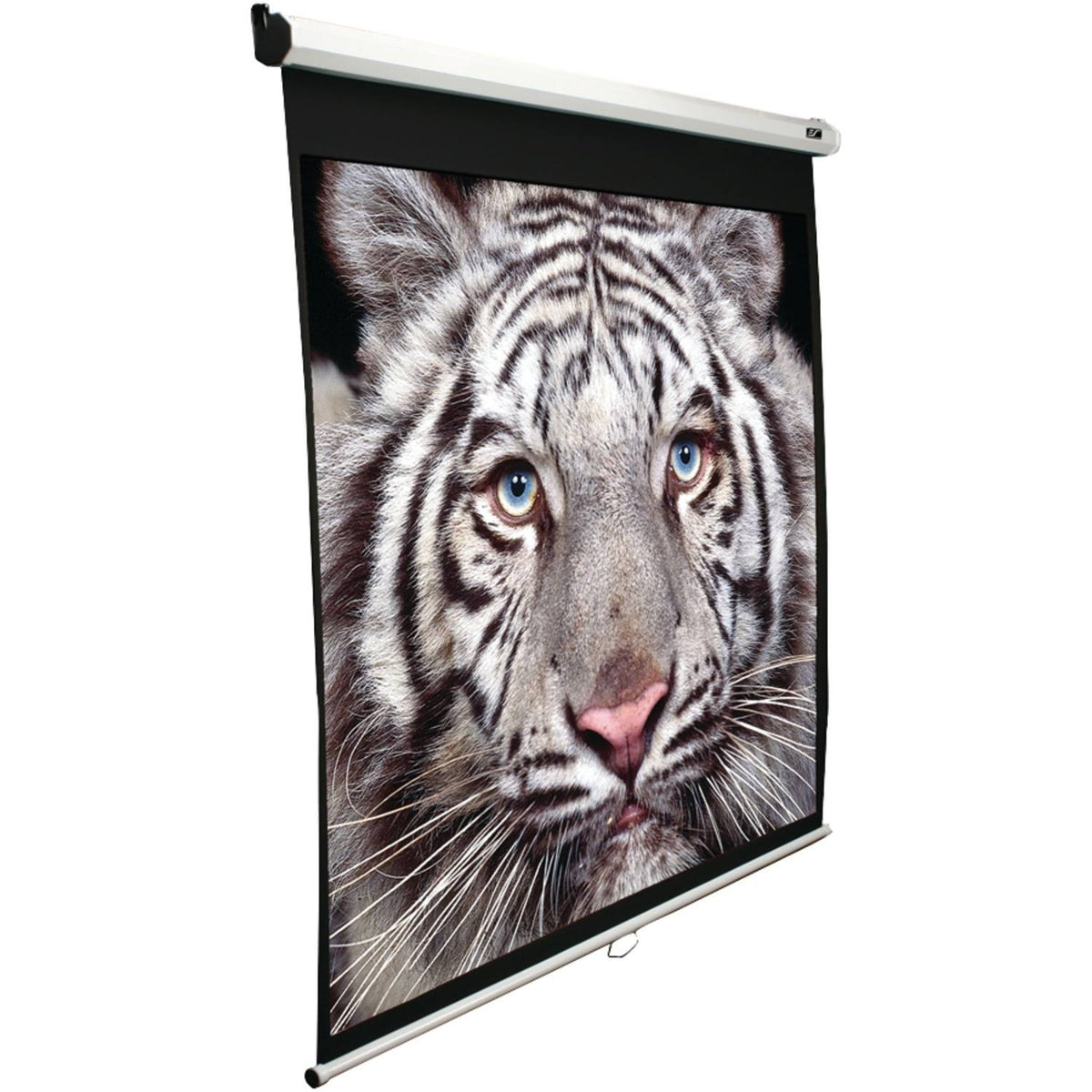Manual B Series M100H Projection Screen V212987