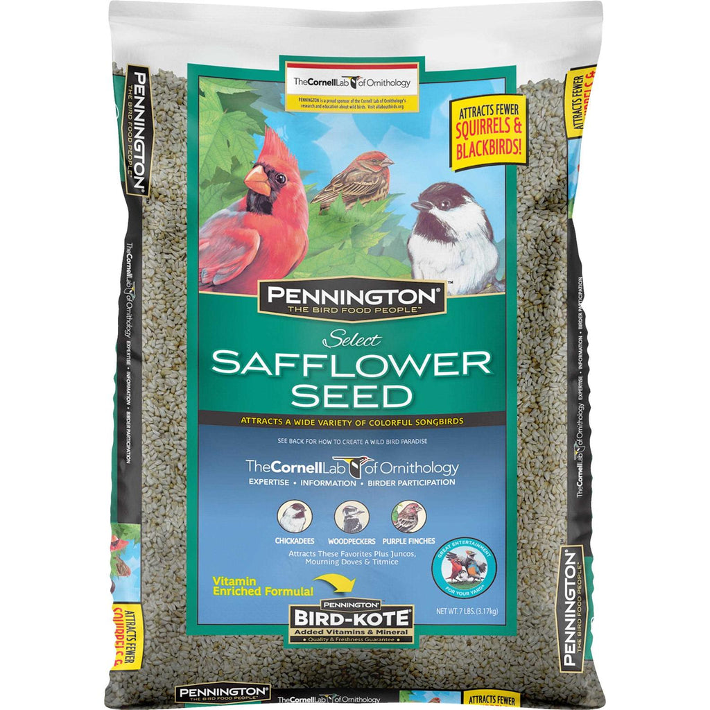 Safflower Seed Wild Bird Feed & Seed D51321