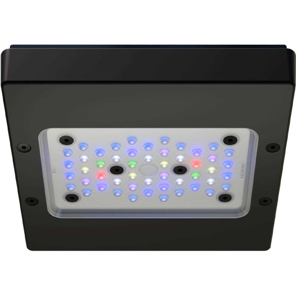 LED Light Fixture W324