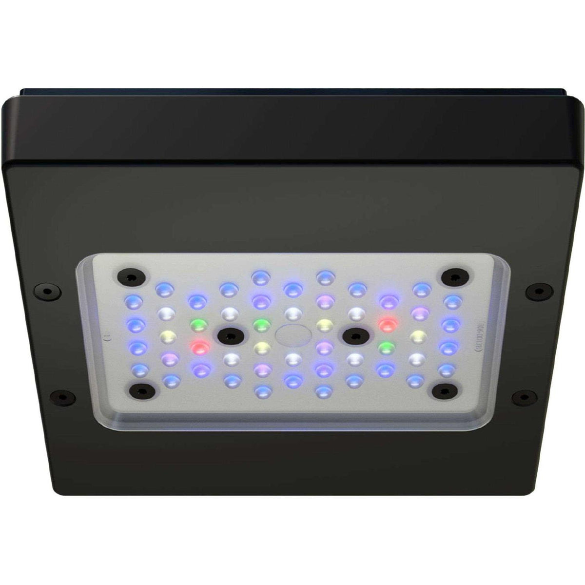 LED Light Fixture W324