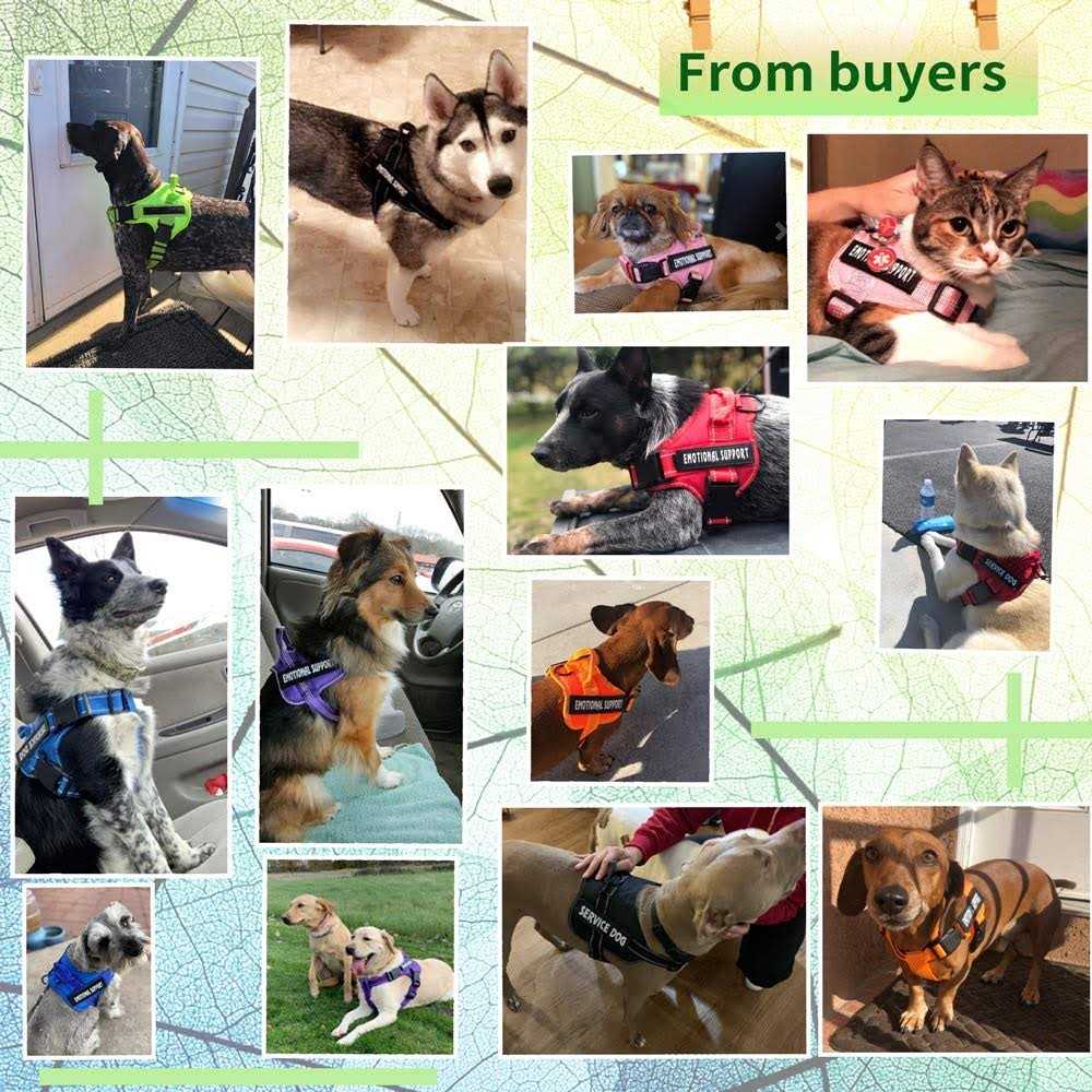 Reflective Breathable Adjustable No-Pull Dog Harness A7480