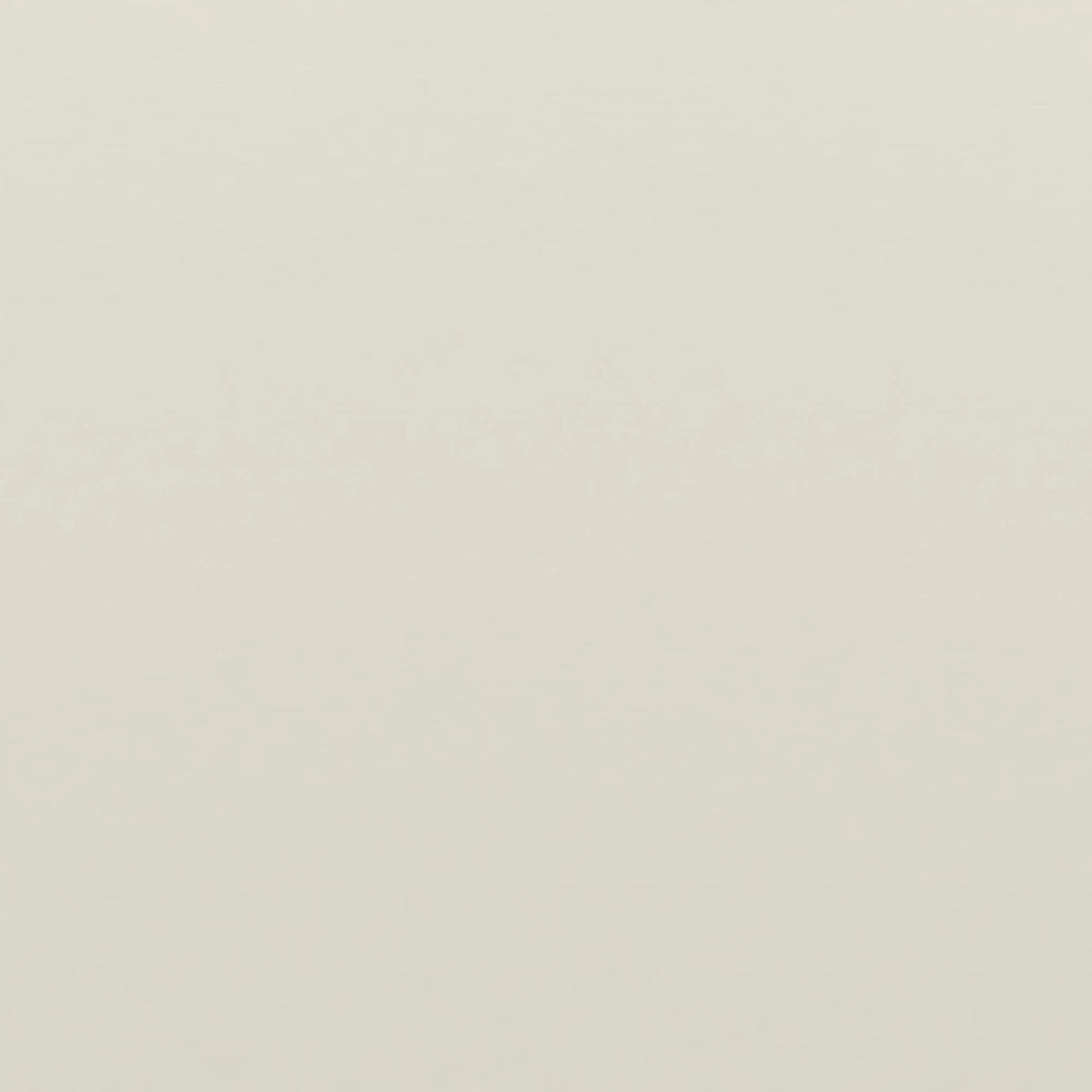 Twin Size Off-White Wood Platform Bed Frame D993