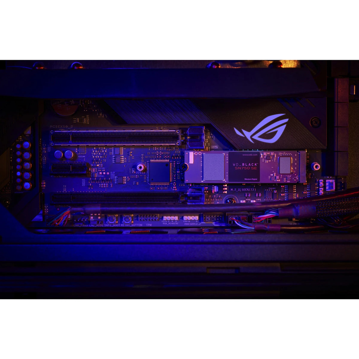 1TB NVMe M.2 Internal Solid State Drive T787
