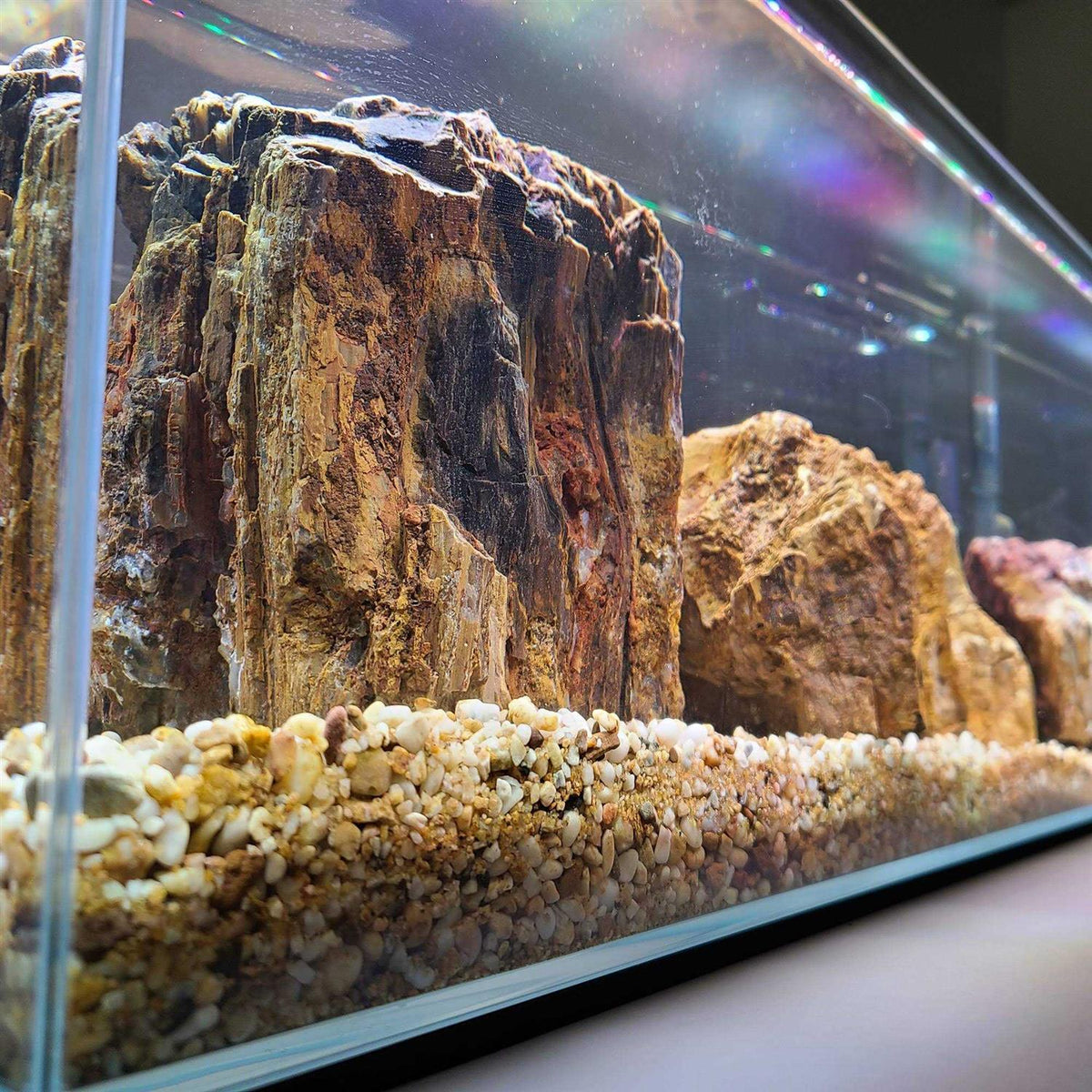 Crystal Bookshelf Aquarium M58300