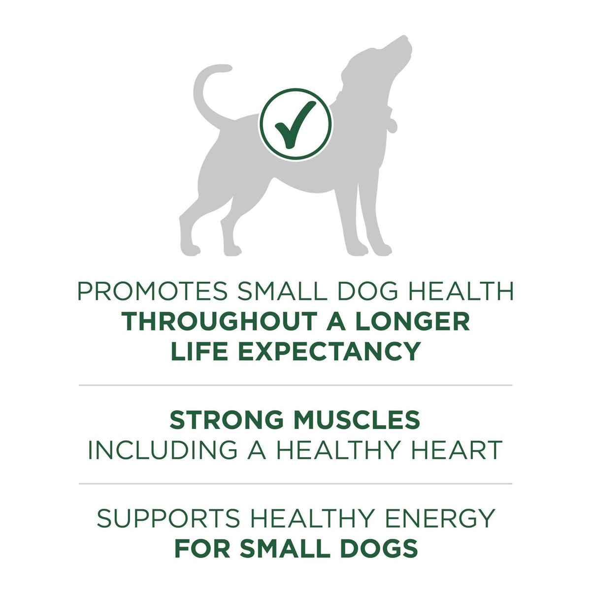 Lamb & Rice Small Breed Dry Dog Food F443188