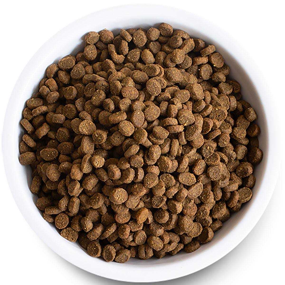 Grain-Free Wild-Caught Salmon Dry Cat Food E1702