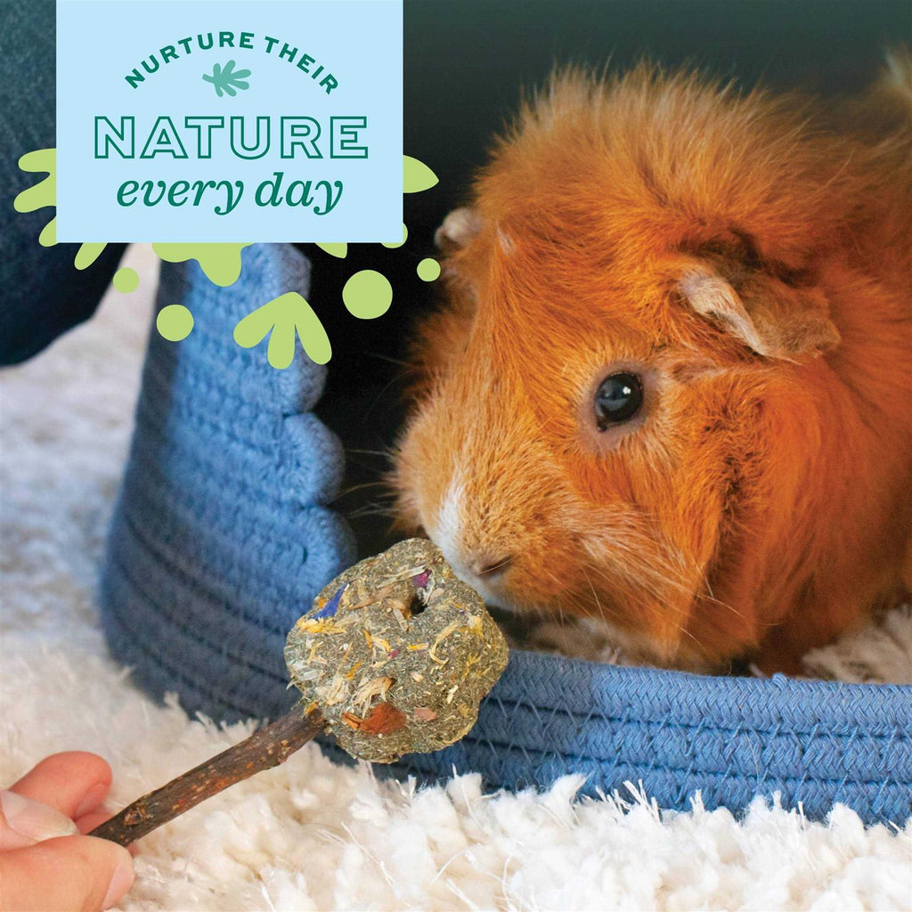 Young Guinea Pig Food I8577