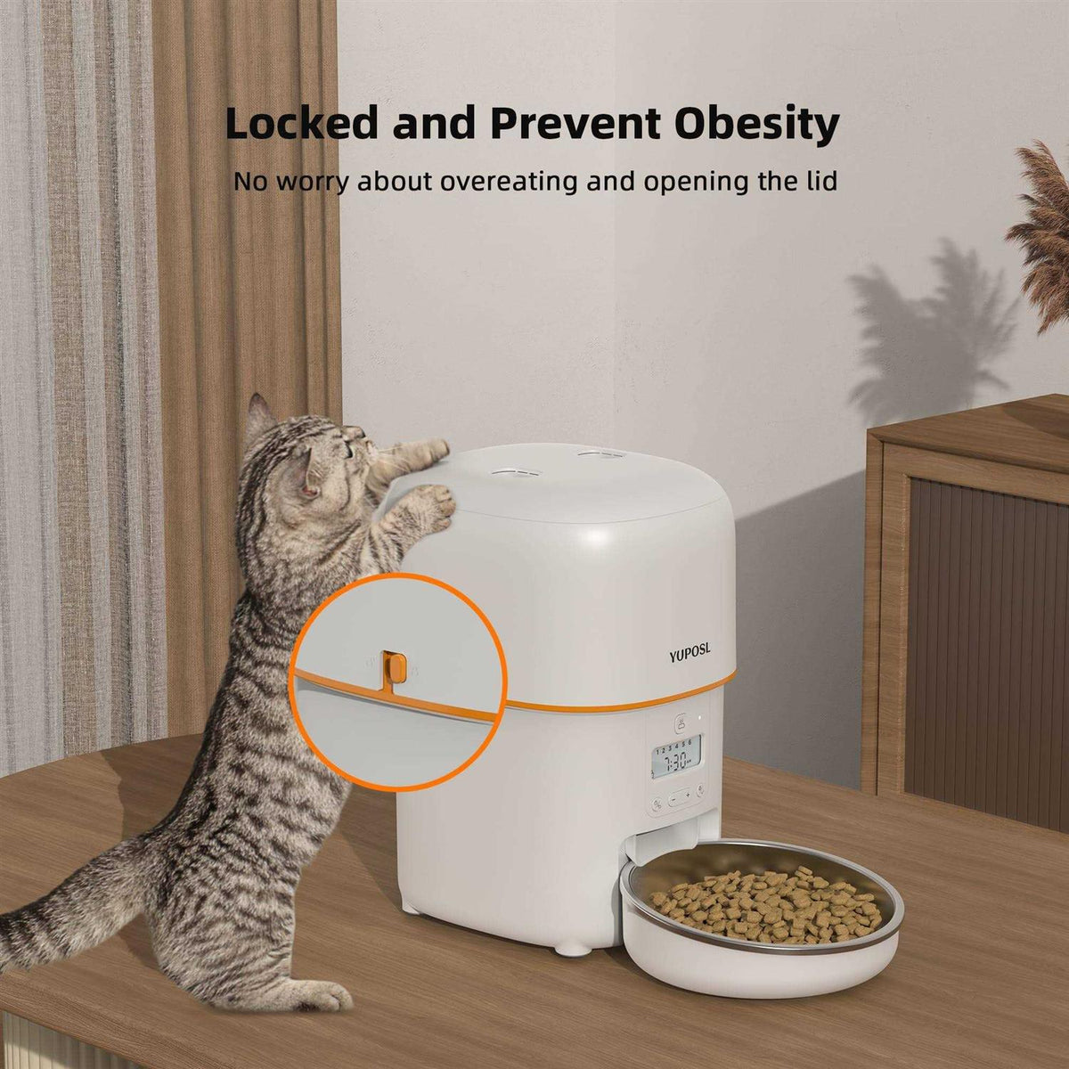 Automatic Cat Feeders 8cup/68oz Cat Food Dispenser I730774