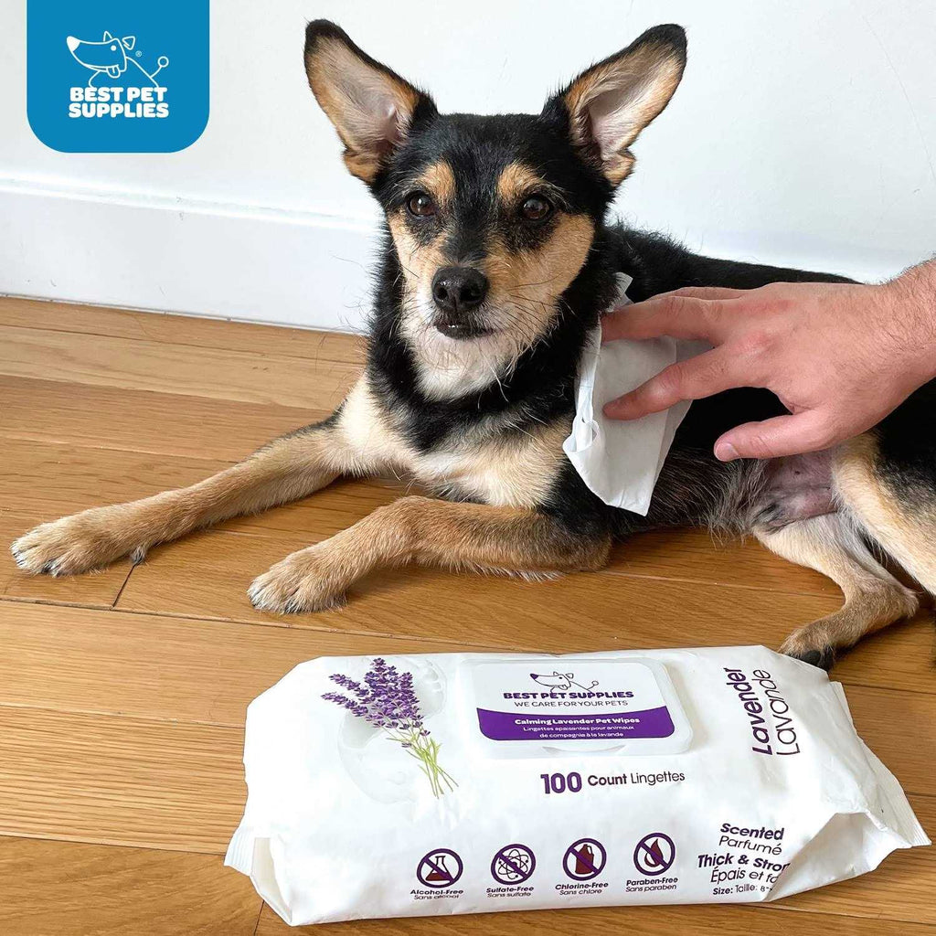 Plant-Based Pet Grooming Wipes A343969