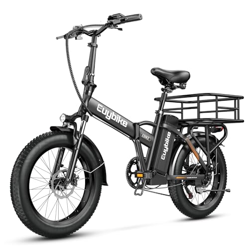 20" Fat Tire 1000W Electric Bike with 48V 20AH Removable Battery J55560