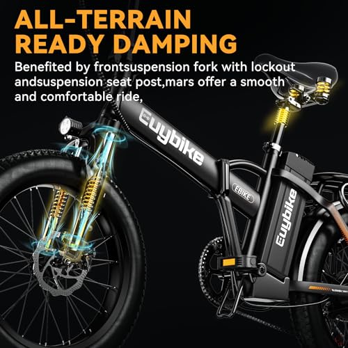 20" Fat Tire 1000W Electric Bike with 48V 20AH Removable Battery J55560