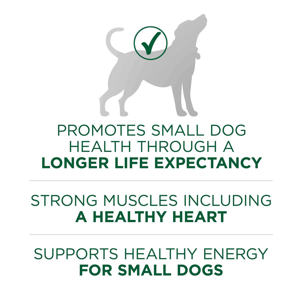 Lamb & Rice Small Breed Dry Dog Food F443188