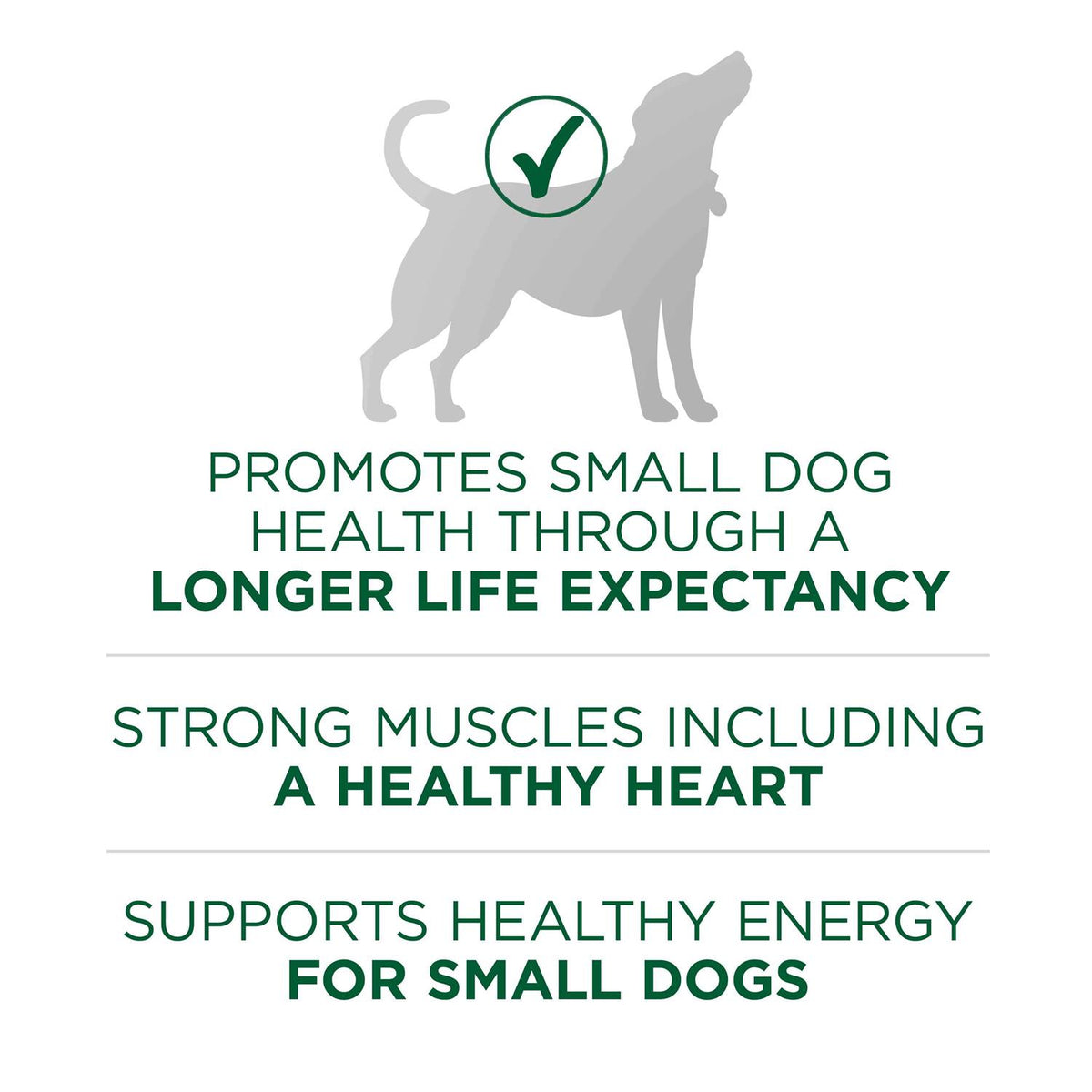 Lamb & Rice Small Breed Dry Dog Food F443188