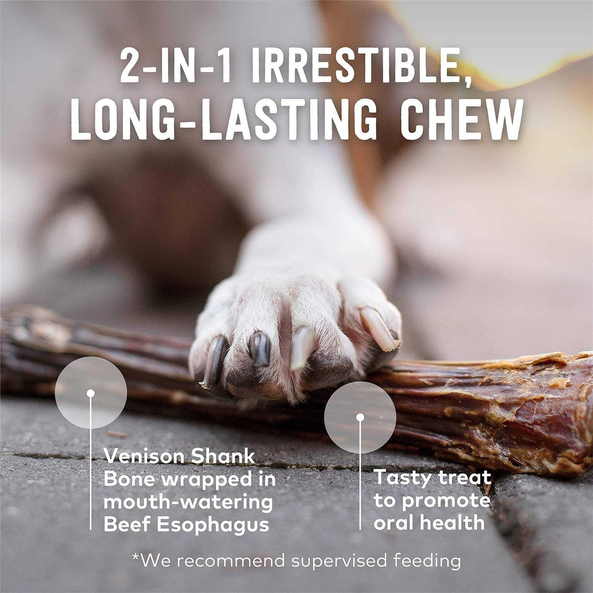 Deer Shank Bone Dog Chew O24778