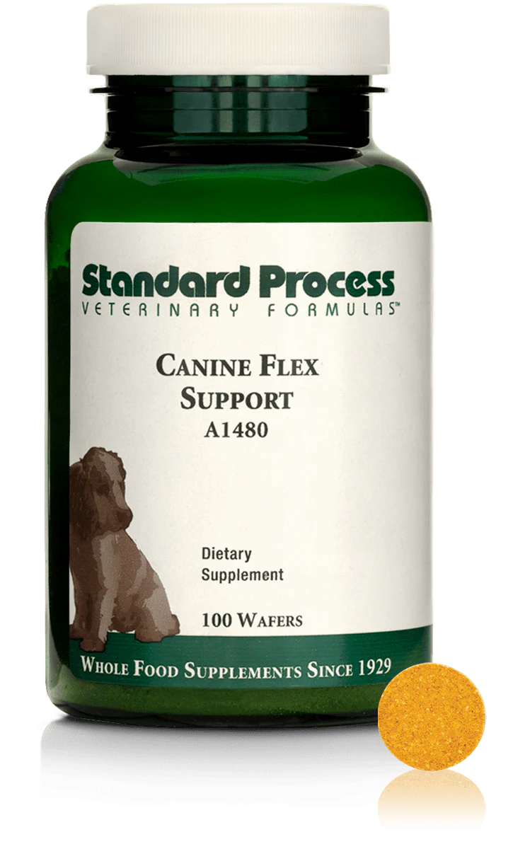 Canine Flex Support I41670