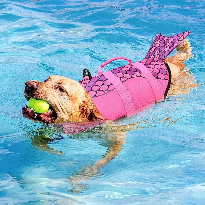 Dog Life Jacket with Rescue Handle V601994