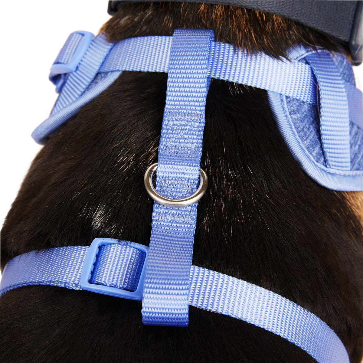 Heather Pullover Dog Harness P107825