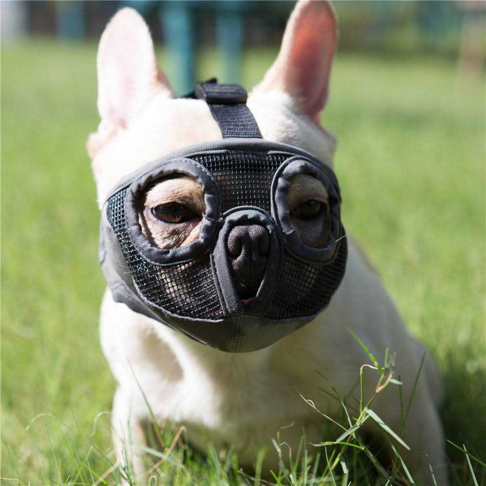 Adjustable Breathable Mesh Short Snout Dog Muzzle V989