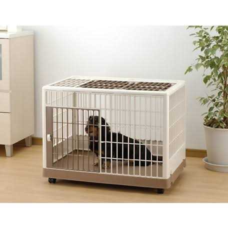 Pet Training Kennel P865