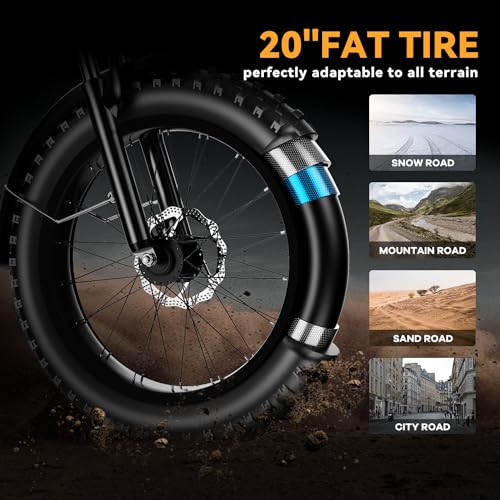20" Fat Tire 1000W Electric Bike with 48V 20AH Removable Battery J55560
