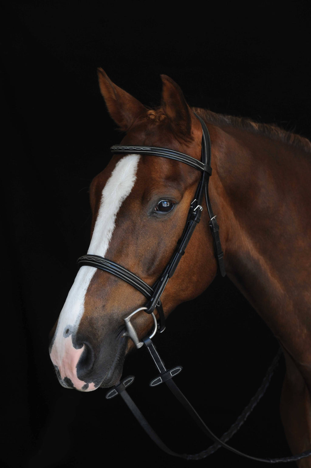 Brown Fancy Stitched Raised Cavesson Bridle F448918