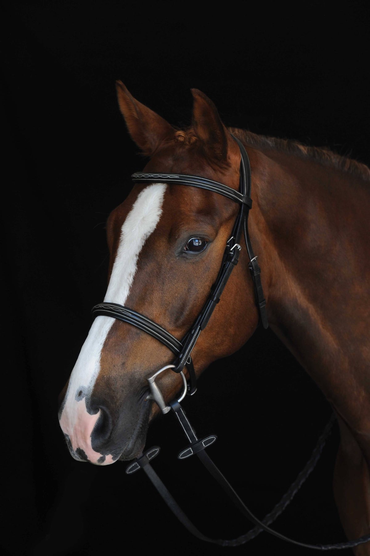 Brown Fancy Stitched Raised Cavesson Bridle F448918