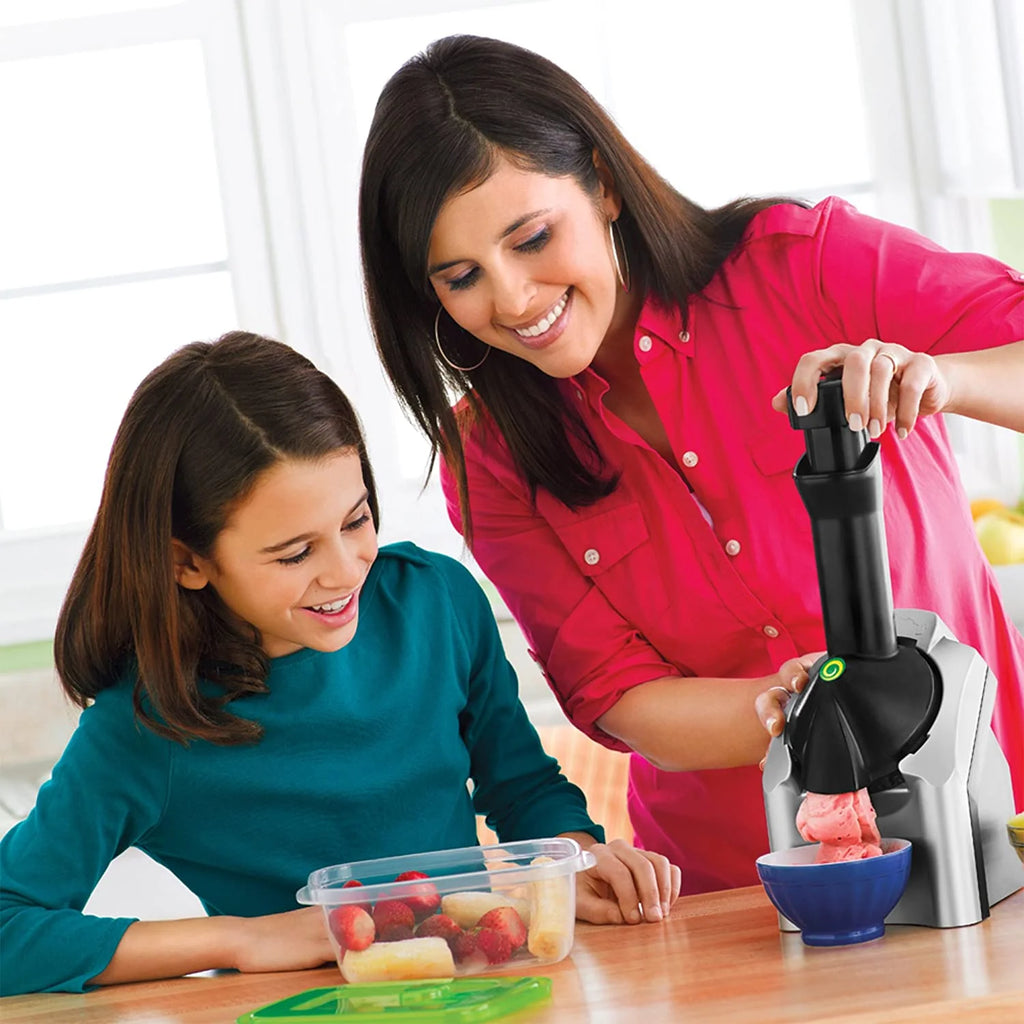 Silver Fruit Soft Serve Maker Q442