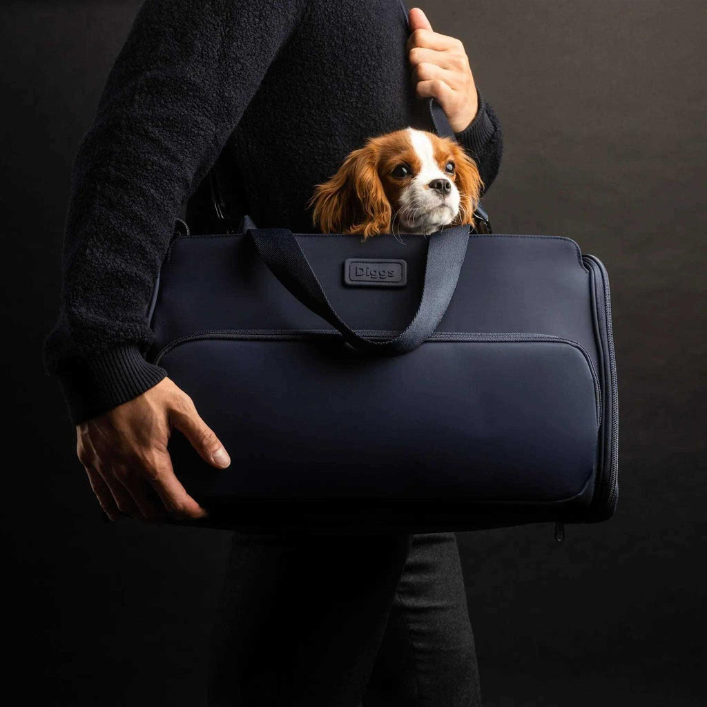 Travel Pet Carrier for Small Dogs and Cats E34067