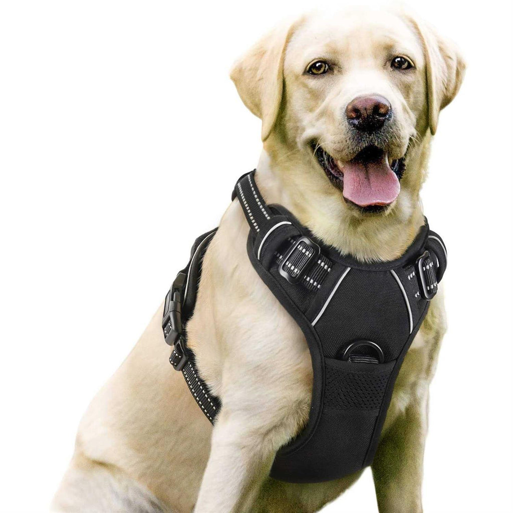 Adjustable Soft Padded Dog Harness Y7838