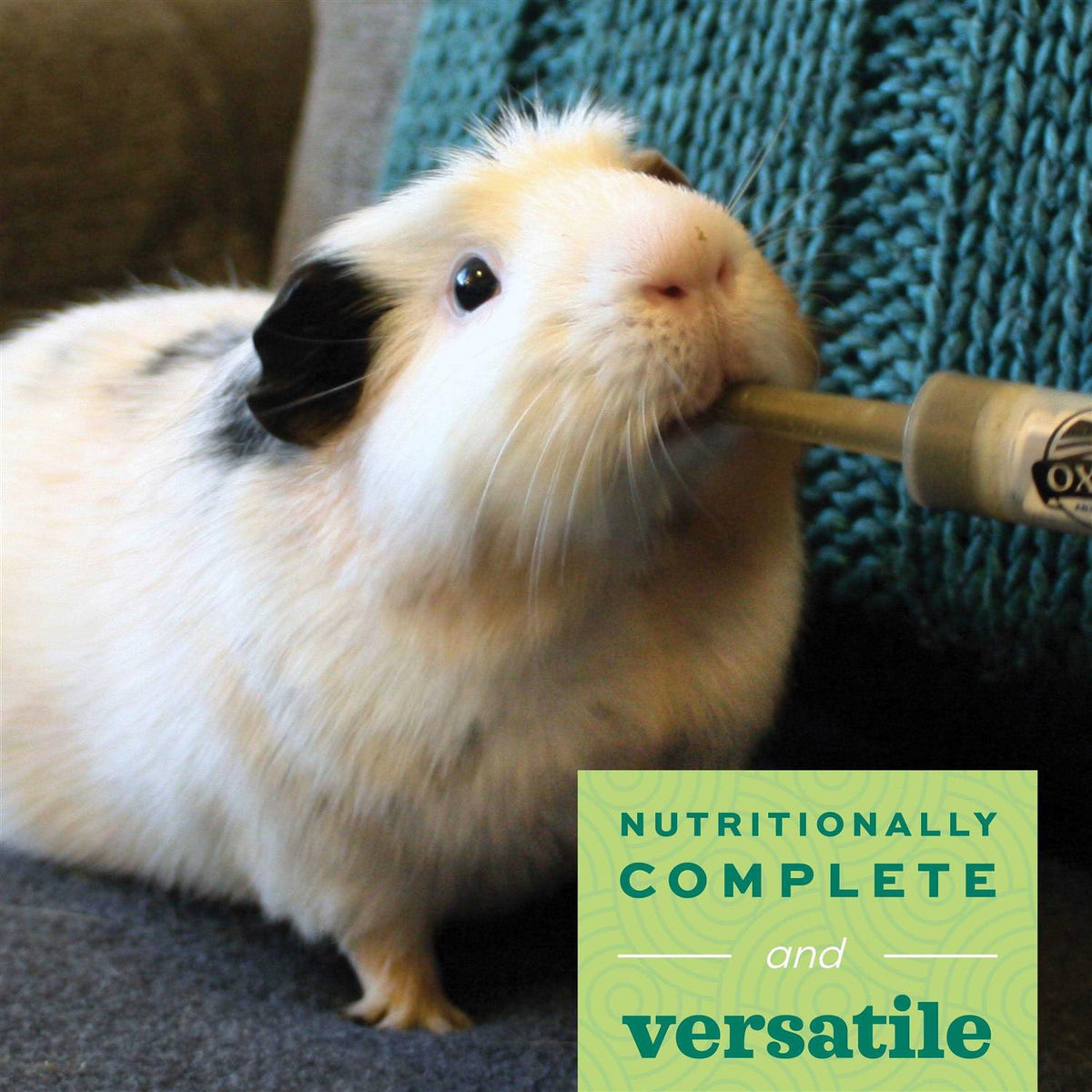 Young Guinea Pig Food I8577