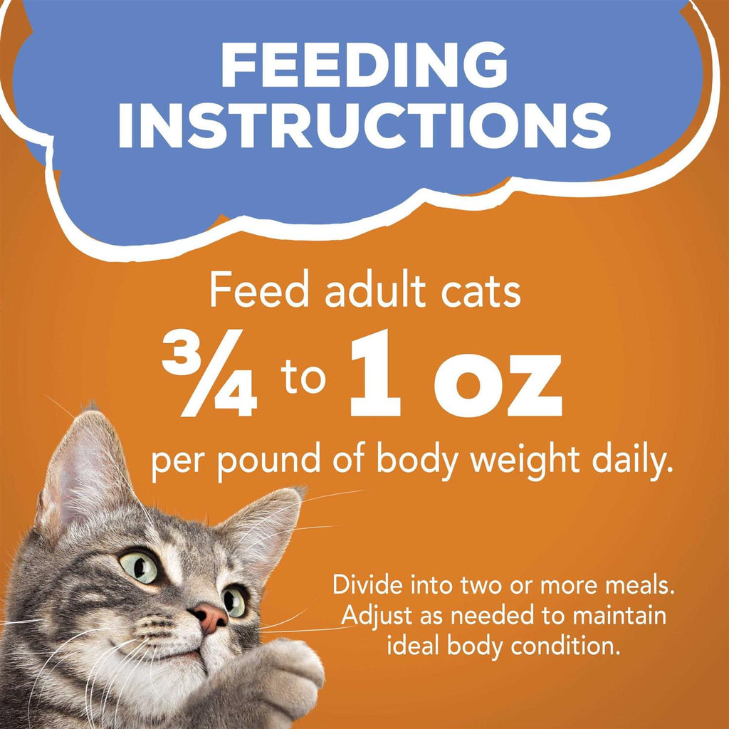 Chicken in Gravy Wet Cat Food R468988