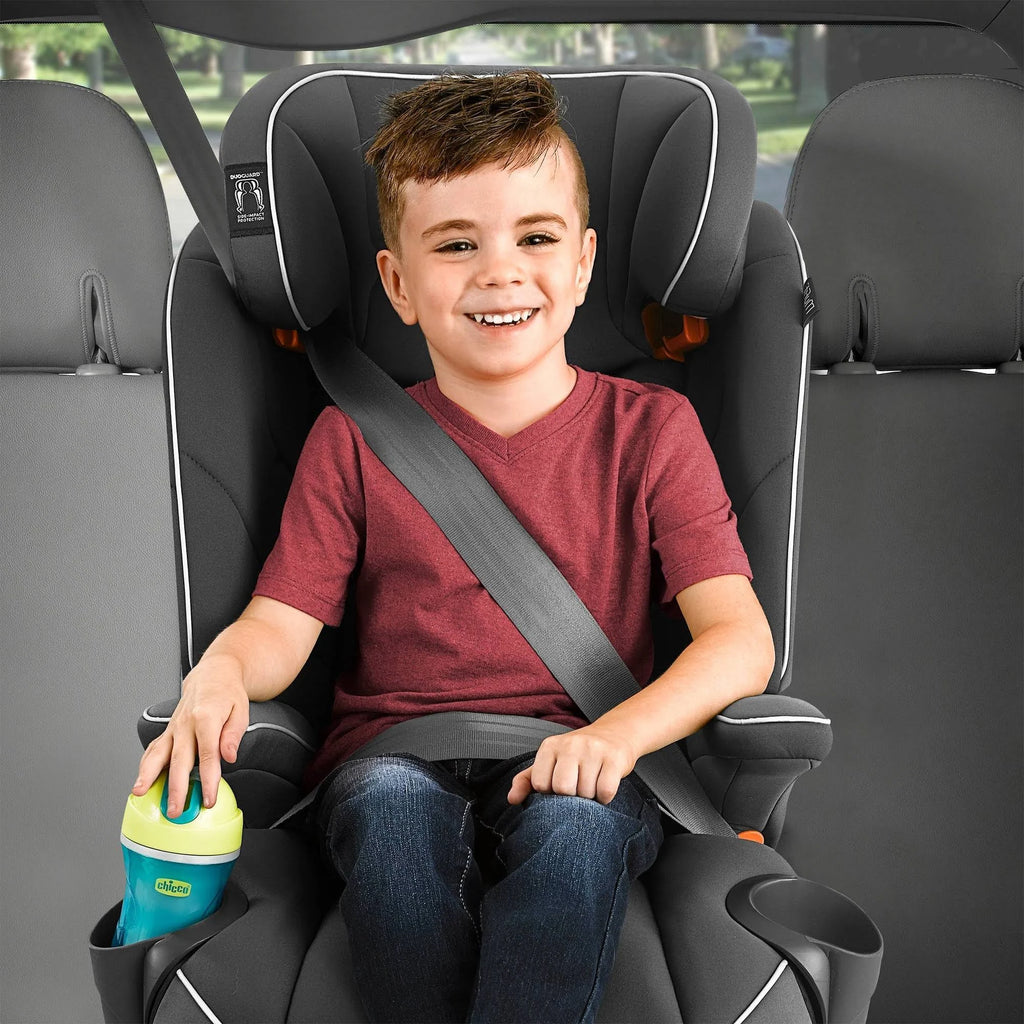 Indigo Harness + Booster Car Seat P499