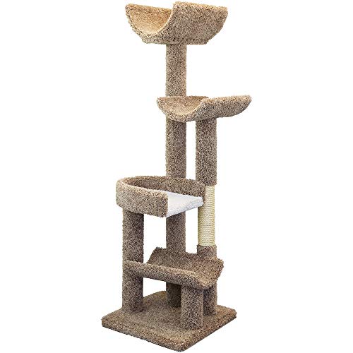 Cat Climbing Tree Y1141